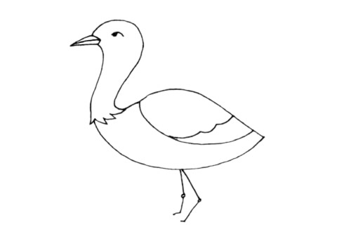 鸨鸟简笔画步骤教程