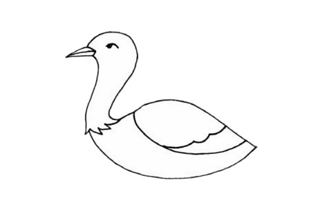 鸨鸟简笔画步骤教程