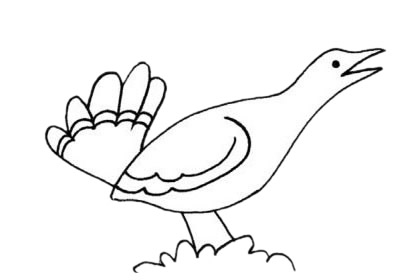 简单的鸨鸟怎么画