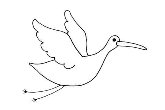 关于白鹤的简笔画