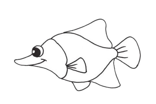 关于比目鱼的简笔画