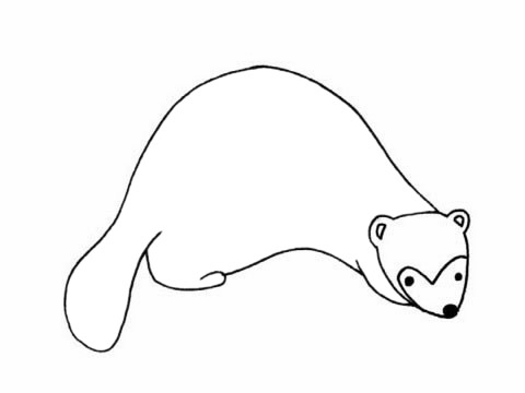 关于貂的简单画法