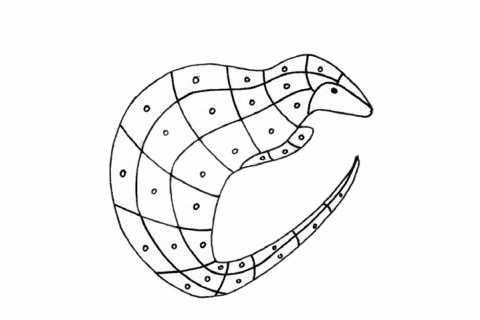 穿山甲儿童简笔画