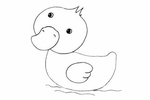 可爱的雏鸭简笔画步骤