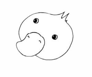 可爱的雏鸭简笔画步骤