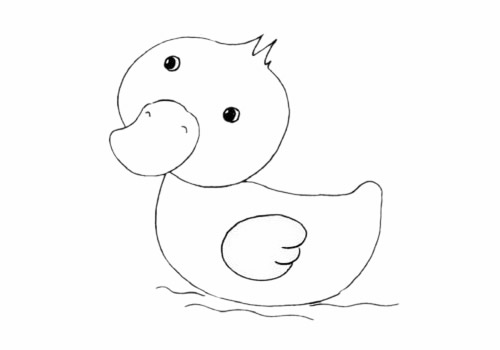 可爱的雏鸭简笔画步骤