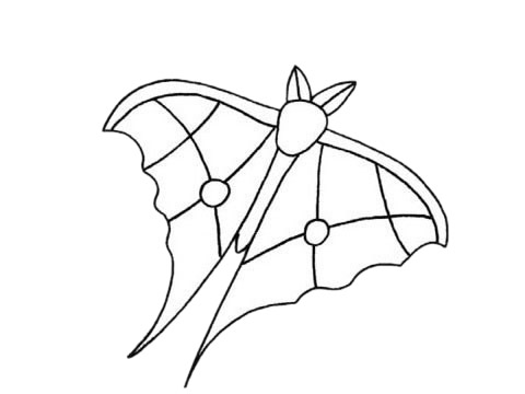 飞蛾的幼儿简笔画