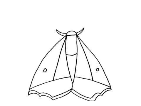 飞蛾怎么画最简单