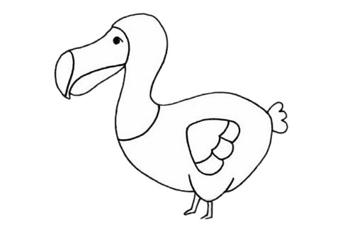 渡鸟(渡鸦)简笔画步骤教程