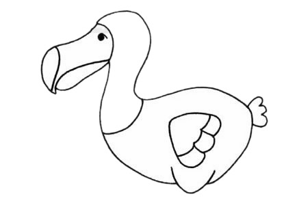 渡鸟(渡鸦)简笔画步骤教程