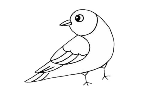 杜鹃鸟简笔画步骤教程 杜鹃鸟简笔画步骤教程