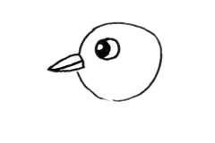 杜鹃鸟简笔画步骤教程 杜鹃鸟简笔画步骤教程