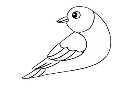 杜鹃鸟简笔画步骤教程 杜鹃鸟简笔画步骤教程