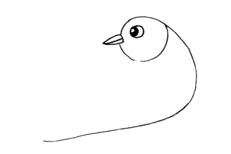 杜鹃鸟简笔画步骤教程 杜鹃鸟简笔画步骤教程