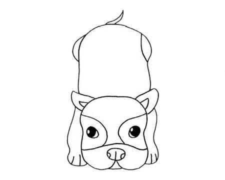 斗牛犬怎么画最简单