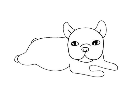 可爱的斗牛犬简笔画