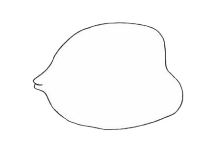 可爱的鲽鱼简笔画步骤 可爱的鲽鱼简笔画步骤