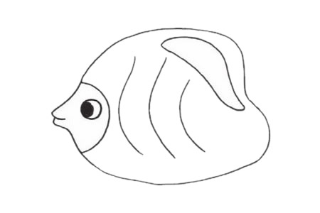 可爱的鲽鱼简笔画步骤 可爱的鲽鱼简笔画步骤