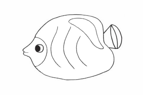 可爱的鲽鱼简笔画步骤 可爱的鲽鱼简笔画步骤