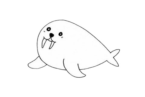一步步教你画简单的海象