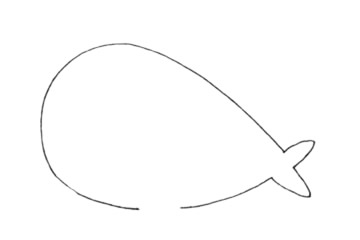 一步步教你画简单的海象