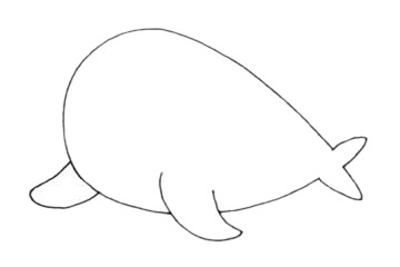 一步步教你画简单的海象