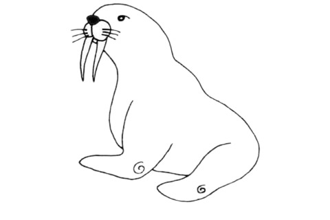 关于海象的简笔画