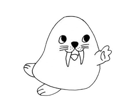 可爱的小海象简笔画