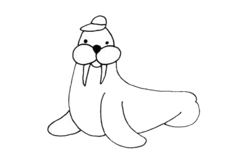 卡通的海象简笔画