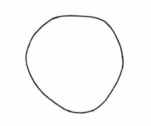 哈士奇简笔画步骤教程