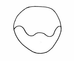 哈士奇简笔画步骤教程