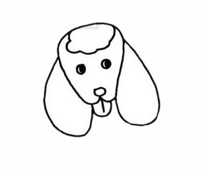贵宾犬简笔画步骤教程