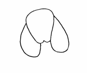 贵宾犬简笔画步骤教程