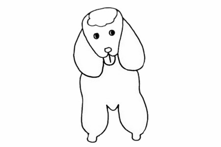 贵宾犬简笔画步骤教程
