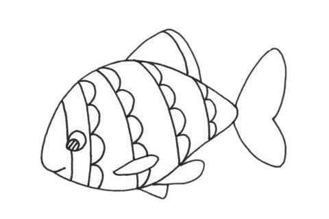关于虎皮鱼的简笔画