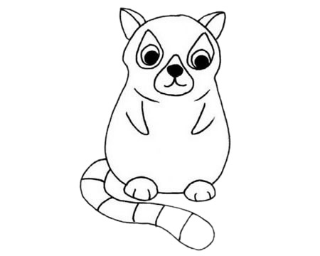 关于狐猴的简笔画