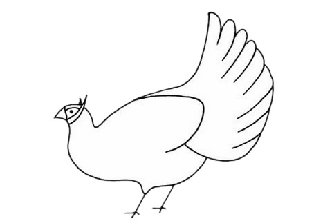 褐马鸡简笔画步骤教程