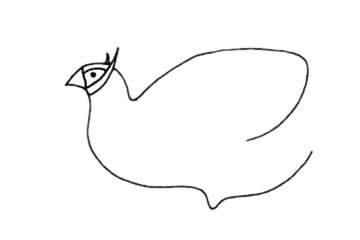 褐马鸡简笔画步骤教程