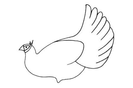 褐马鸡简笔画步骤教程