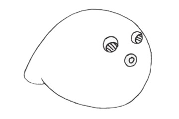 可爱的河豚简笔画教程