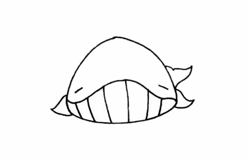 一组鲸鱼的简笔画大全