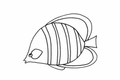 接吻鱼简笔画步骤教程 接吻鱼简笔画步骤教程