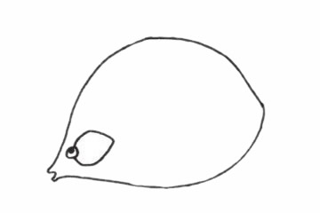 接吻鱼简笔画步骤教程 接吻鱼简笔画步骤教程