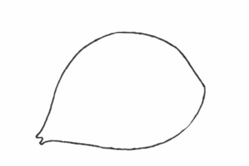 接吻鱼简笔画步骤教程 接吻鱼简笔画步骤教程