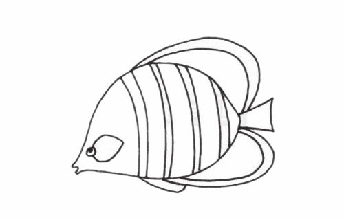 接吻鱼简笔画步骤教程 接吻鱼简笔画步骤教程
