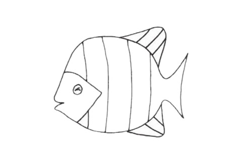 简单的黄鳍鲳怎么画