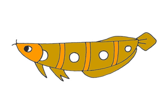 龙鱼儿童简笔画