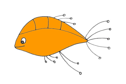 孔雀鱼怎么画 孔雀鱼简笔画步骤 孔雀鱼怎么画 孔雀鱼简笔画步骤