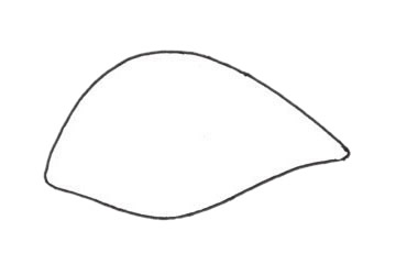 孔雀鱼怎么画 孔雀鱼简笔画步骤 孔雀鱼怎么画 孔雀鱼简笔画步骤