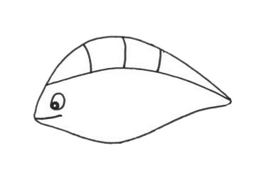 孔雀鱼怎么画 孔雀鱼简笔画步骤 孔雀鱼怎么画 孔雀鱼简笔画步骤